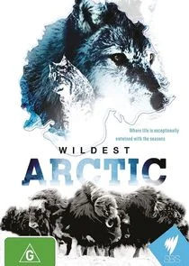 Wildest Arctic poster