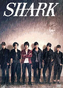 Plakat SHARK