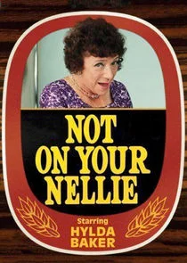 Póster de Not on Your Nellie