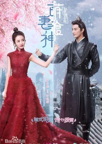 Cinderella Chef poster