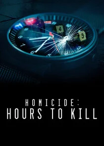 Plakat Homicide: Hours to Kill