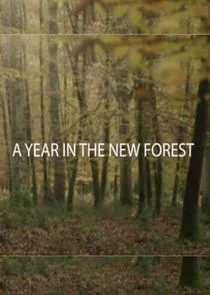 A Year in the New Forest poster