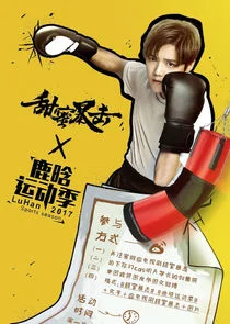 Póster de Dulce Combate