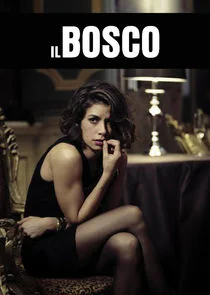 Póster de Il bosco