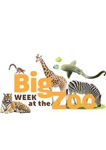 Big Week at the Zoo