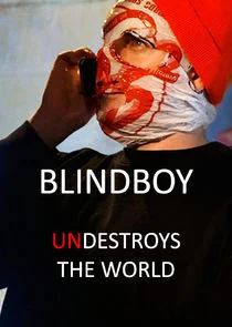 Póster de Blindboy Undestroys the World