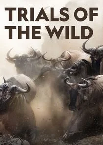 Trials of the Wild poster