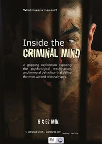 Poster di Viaggio nella mente criminale