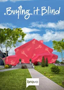 Buying It Blind poster