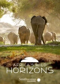 Africa's Wild Horizons poster