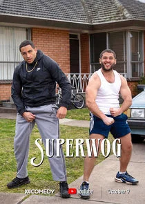 Pôster de Superwog