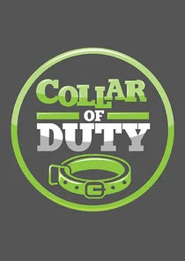 Pôster de Collar of Duty