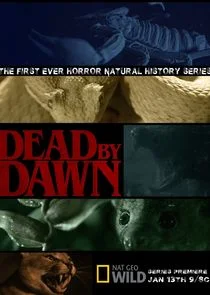 Pôster de Dead by Dawn