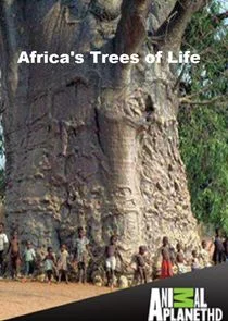 Africa's Trees of Life poster