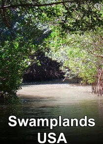 Pôster de Swamplands USA
