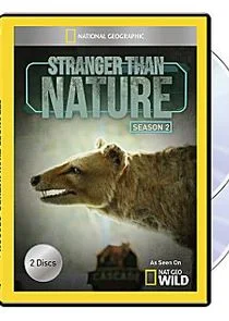 Poster di Stranger Than Nature