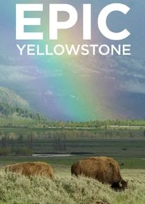 Le meraviglie del parco di Yellowstone