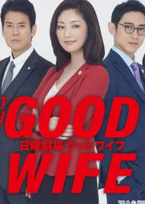 Poster di The Good Wife