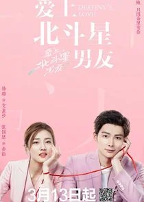 Poster di Destiny's Love