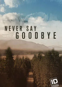 Affiche de Never Say Goodbye