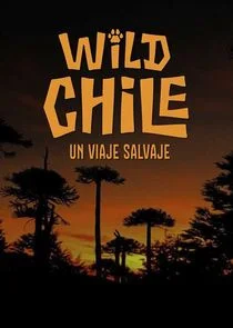 Wild Chile: Un Viaje Salvaje poster