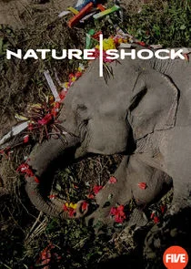 Nature Shock poster