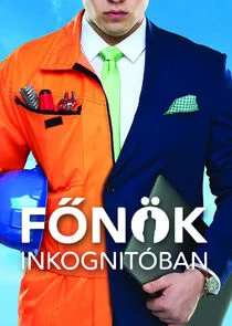 Affiche de FÄąâ€nÄ‚Â¶k inkognitÄ‚Ĺ‚ban