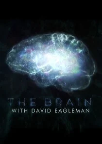 The Brain with David Eagleman poster