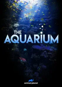 The Aquarium poster