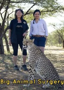 Big Animal Surgery poster