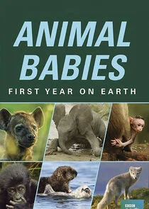 Animal Babies: First Year on Earth