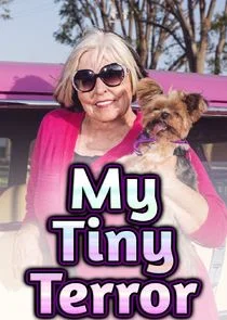 Affiche de My Tiny Terror