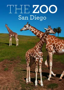 The Zoo: San Diego poster