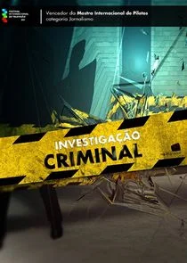 Affiche de InvestigaÄ‚Â§Ä‚Ĺo Criminal