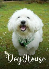 The Dog House