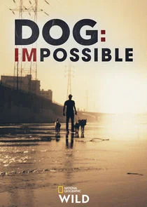 Affiche de Dog: Impossible