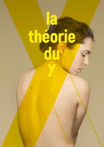 Affiche de La Théorie du Y