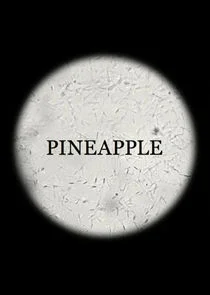 Pineapple poster