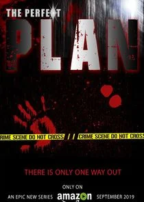 The Perfect Plan poster