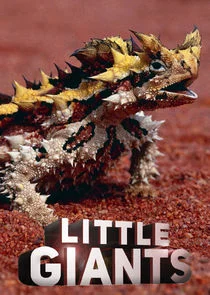 Little Giants poster