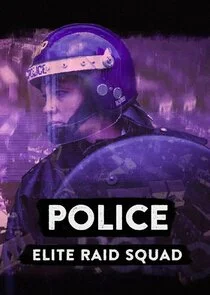 Affiche de Raids