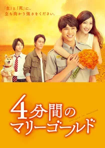 Marigold in 4 Minutes