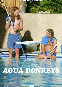 Agua Donkeys poster
