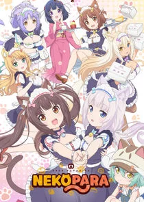 Plakat Nekopara