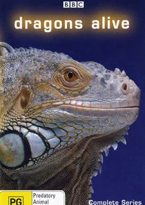 Dragons Alive poster