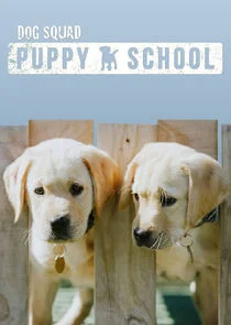 Dog Squad: Puppy School