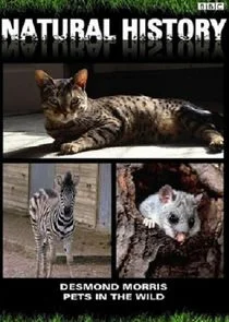 Pets in the Wild poster