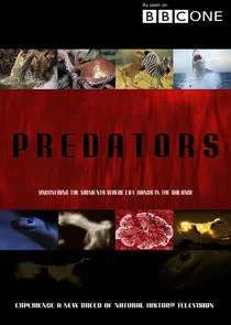 Predators poster