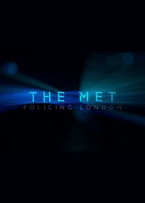 Affiche de The Met