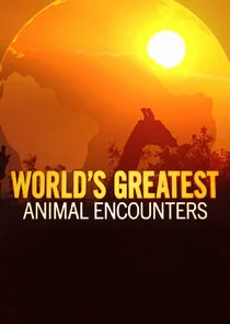 World's Greatest Animal Encounters poster